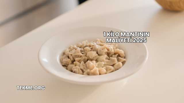 1 Kilo Mantının Maliyeti 2025