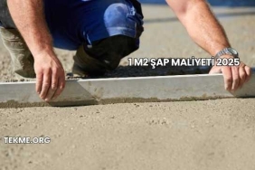 1 M2 Şap Maliyeti 2025