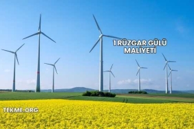 1 Rüzgar Gülü Maliyeti