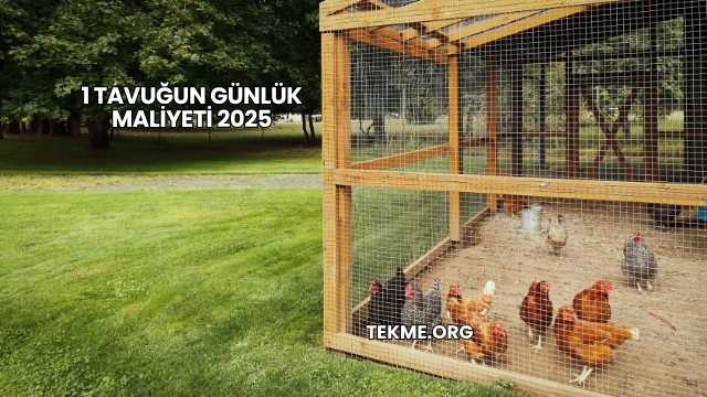 1 Tavuğun Günlük Maliyeti 2025