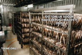 100 Tonluk Soğuk Hava Deposu Maliyeti 2025