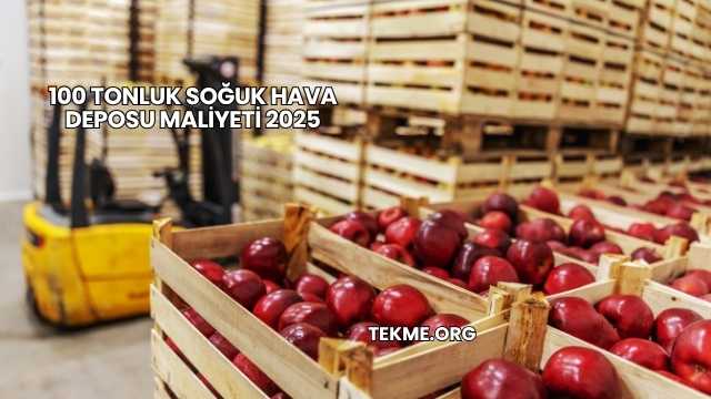 100 Tonluk Soğuk Hava Deposu Maliyeti 2025