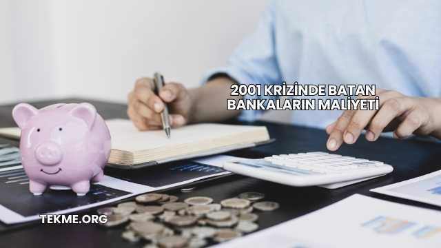 2001 Krizinde Batan Bankaların Maliyeti