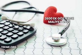 3600 Ek Gösterge Maliyeti 2025