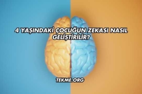 4 Yaşındaki Çocuğun Zekası Nasıl Geliştirilir?