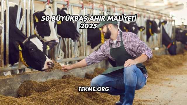 50 Büyükbaş Ahır Maliyeti 2025