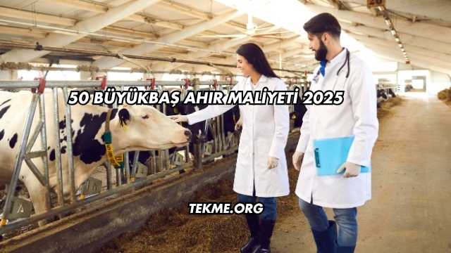 50 Büyükbaş Ahır Maliyeti 2025