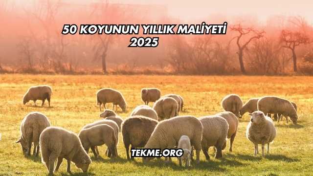 50 Koyunun Yıllık Maliyeti 2025
