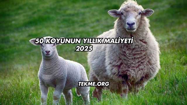 50 Koyunun Yıllık Maliyeti 2025