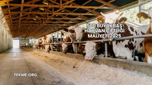 500 Büyükbaş Hayvan Çiftliği Maliyeti 2025