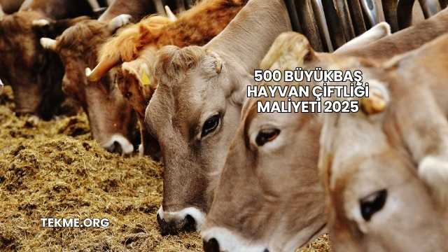 500 Büyükbaş Hayvan Çiftliği Maliyeti 2025