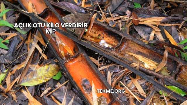 Açlık Otu Kilo Verdirir mi?