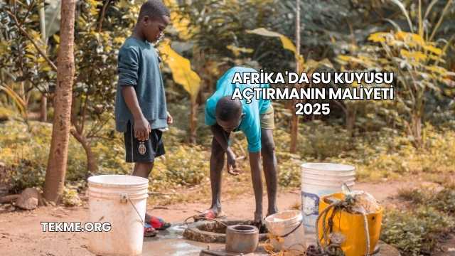 Afrika'da Su Kuyusu Açtırmanın Maliyeti 2025