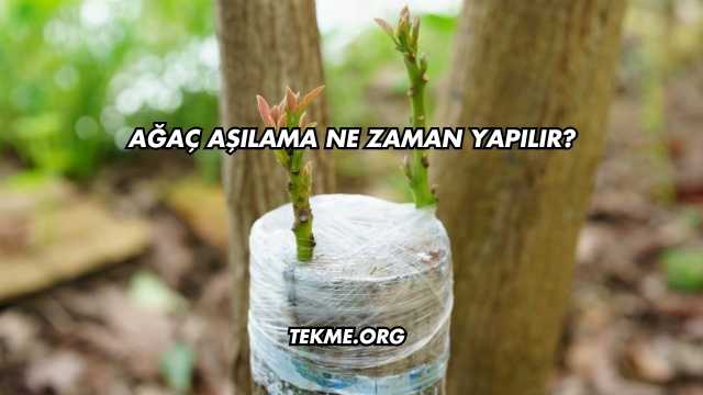 Ağaç Aşılama Ne Zaman Yapılır?