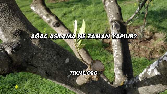 Ağaç Aşılama Ne Zaman Yapılır?