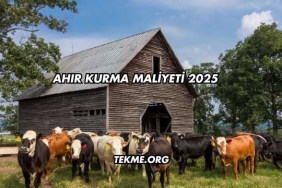 Ahır Kurma Maliyeti 2025