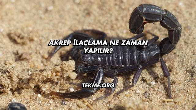Akrep İlaçlama Ne Zaman Yapılır?