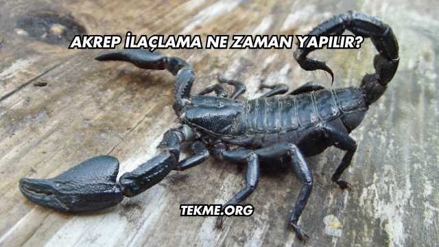 Akrep İlaçlama Ne Zaman Yapılır?