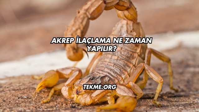 Akrep İlaçlama Ne Zaman Yapılır?