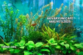 Akvaryum Cafe Maliyeti 2025