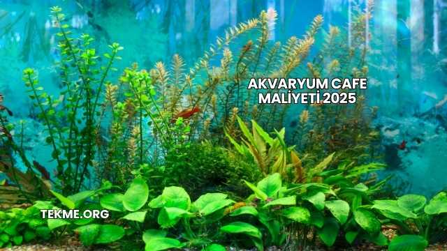 Akvaryum Cafe Maliyeti 2025