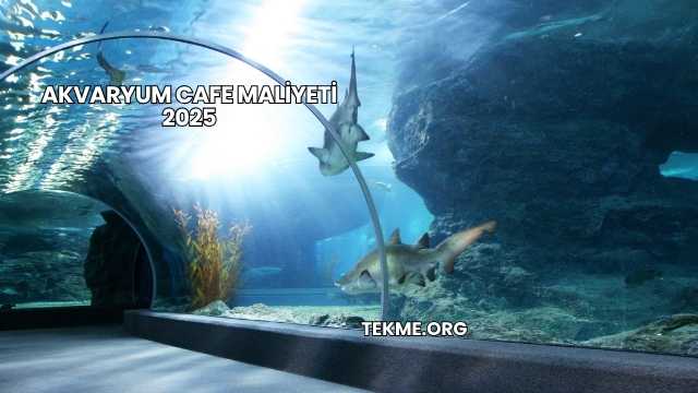 Akvaryum Cafe Maliyeti 2025