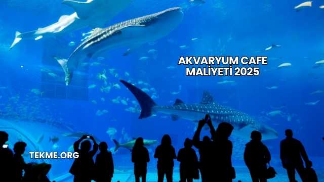 Akvaryum Cafe Maliyeti 2025