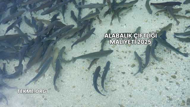 Alabalık Çiftliği Maliyeti 2025
