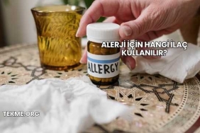 Alerji İçin Hangi İlaç Kullanılır?