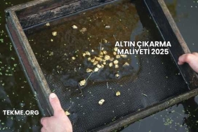 Altın Çıkarma Maliyeti 2025