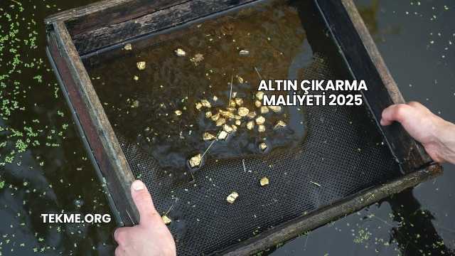 Altın Çıkarma Maliyeti 2025