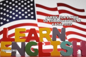 Amerika'da 6 Aylık Dil Eğitimi Maliyeti Ne Kadar 2025