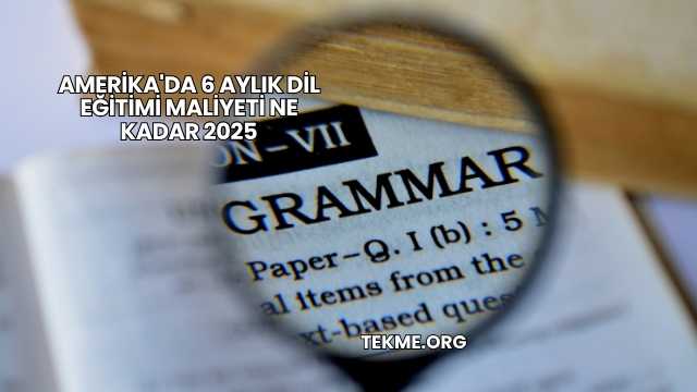 Amerika'da 6 Aylık Dil Eğitimi Maliyeti Ne Kadar 2025