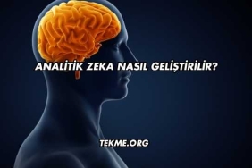 Analitik Zeka Nasıl Geliştirilir?
