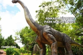 Ankara Dinazor Park Maliyeti 2025