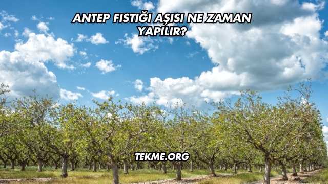 Antep Fıstığı Aşısı Ne Zaman Yapılır?
