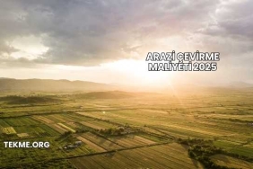 Arazi Çevirme Maliyeti 2025