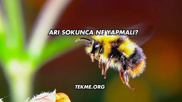 Arı Sokunca Ne Yapmalı?