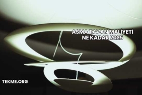 Asma Tavan Maliyeti Ne Kadar 2025