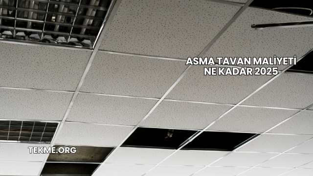 Asma Tavan Maliyeti Ne Kadar 2025