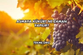 Asmaya Kükürt Ne Zaman Yapılır?