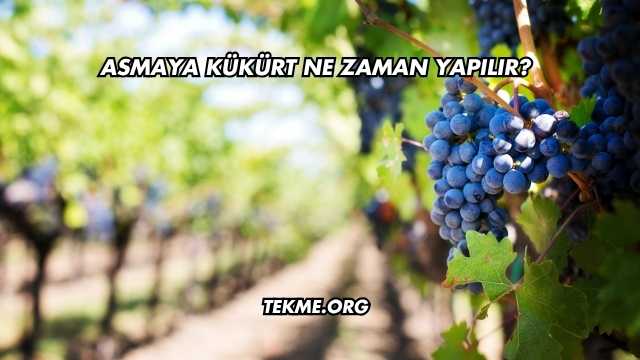 Asmaya Kükürt Ne Zaman Yapılır?