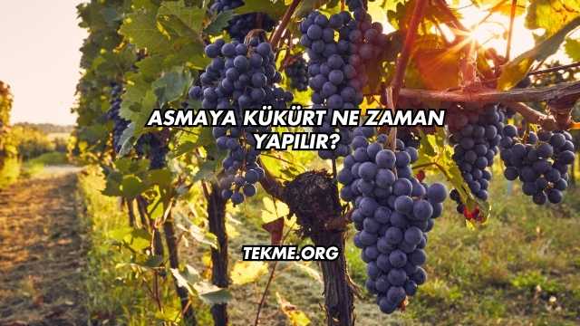Asmaya Kükürt Ne Zaman Yapılır?