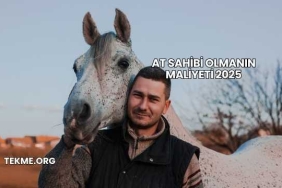 At Sahibi Olmanın Maliyeti 2025