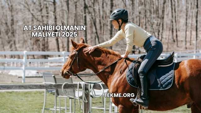 At Sahibi Olmanın Maliyeti 2025