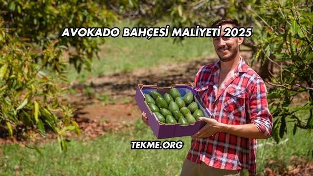 Avokado Bahçesi Maliyeti 2025