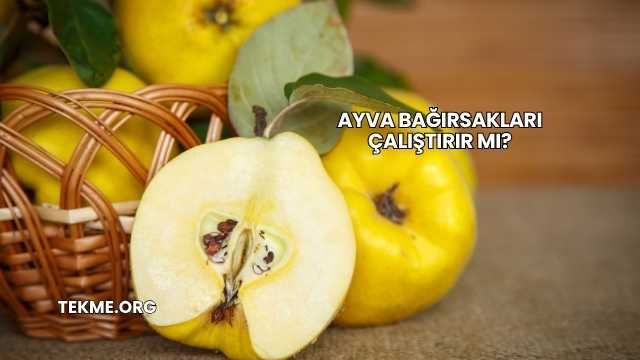 Ayva Bağırsakları Çalıştırır mı?