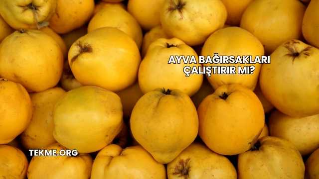 Ayva Bağırsakları Çalıştırır mı?