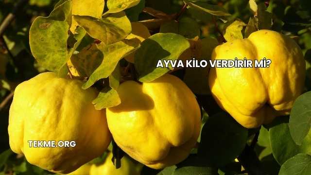 Ayva Kilo Verdirir mi?