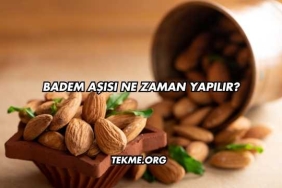 Badem Aşısı Ne Zaman Yapılır?